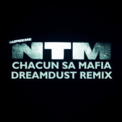 NTM - Chacun Sa Mafia (Dreamdust Remix)