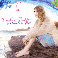 Stupid Boy - Taylor Swift