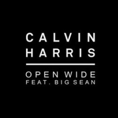 C.U.B.A. (Open Wide) (Bass Kidz Remix) (With Tags)