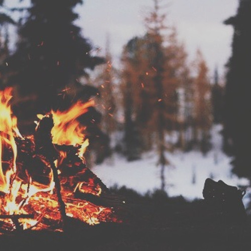 Stream Lorde Team (Elephante Remix) by Lukas Auryla Listen online