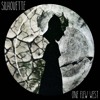 silhouette-one-flew-west