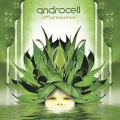 Androcell - Efflorescence (Spiral Minded remix)