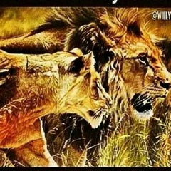 All Turned Up (Jimathez, Papi Dollaz, J Stalin)