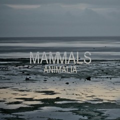 Mammals - Circles