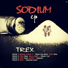 Serum & Paul T _Want You Back (Trex Remix)_  Mac 2