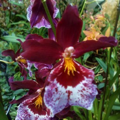 140407 This Morning's Sunrise