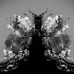 FUCK IT ALL - WHAT HAVE I MADE