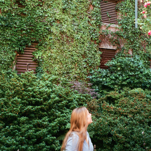 { The Overgrowth Tape }