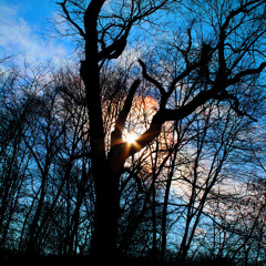 Say Something Stairwell Jam Sesh