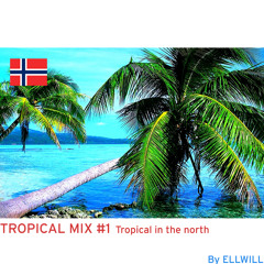 Tropical mix n°1- Tropical in the north