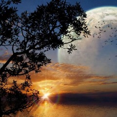 وَأَيُّوبَ إِذْ نَادَى رَبَّهُ أَنِّي مَسَّنِيَ الضُّرُّ وَأَنتَ أَرْحَمُ الرَّاحِمِينَ_الأنبياء