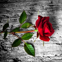 Counting Your Blessings III