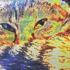 Open Door For Cat. Repeat. (disquiet0153-groovelock)