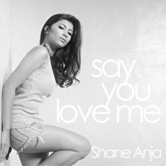 Say You Love Me - Cover by Shane Anja