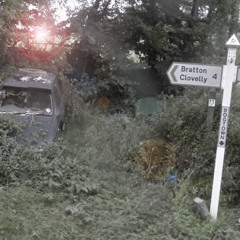 Bogtown