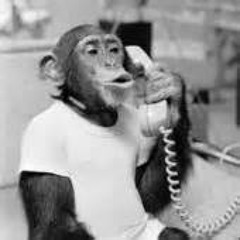 RUSH VOLUME 3 : DJ NEIL G  NEW MONKEY CLASSICS PT1