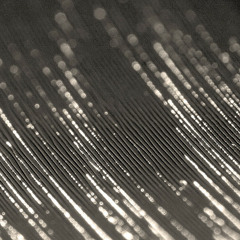 Quark. Quark, Quark. Quark - Disquiet0153 - Groovelock