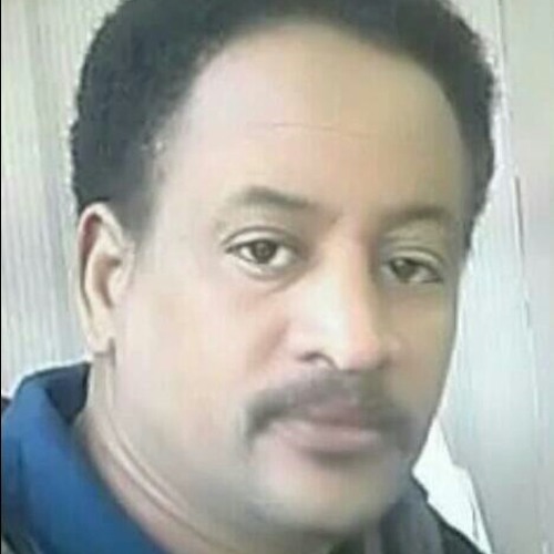 بدرالدين البشري