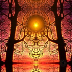 Psytrance/ProTrance