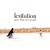 Artwork for Levitation - More Than Ever People