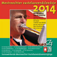 Roger Villevoye - Gekleurd op stap (Mestreechter Vastelaovends leedsje 2014)