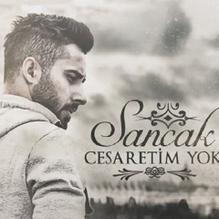 Sancak????????