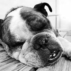 Sunday Morning  (Arr.)