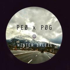 P.e.o & P.o.g - Winter Breeze (Original mix)