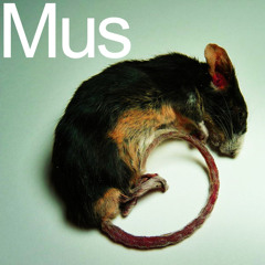 Mus