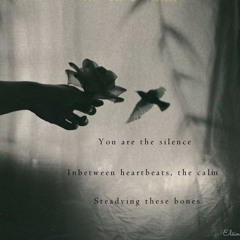 Luci Nell' Acqua - Naviarhaiku 048