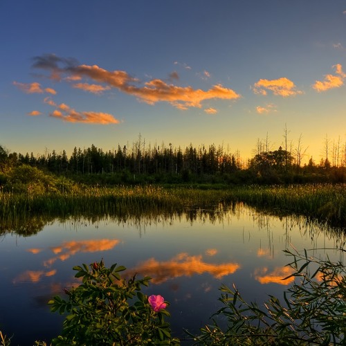 أَجَعَلْتُمْ سِقَايَةَ الْحَاجِّ وَعِمَارَةَ الْمَسْجِدِ الْحَرَامِ كَمَنْ آمَنَ بِاللّهِ