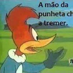 novissimas