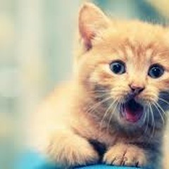 Tomsize & Simeon - Slender ('bryanjenkins00' Remix)