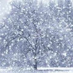 Hypp fractal - Snowfall (version 2)