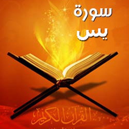 سورة يس وديع حمادي اليمني