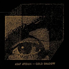Asaf Avidan  Gold Shadow  Live