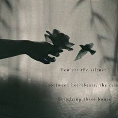 Bellagio [naviarhaiku048 - You are the silence]