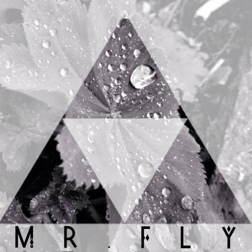 Mr.Fly & Nachtvogel - from Hip to Prog SET (ProgressiveTrance)
