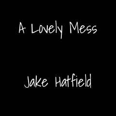 A Lovely Mess (Front Porch Step cover)