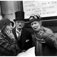 Il merlo rosso. Mannarino (cover)