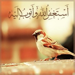 الدوسيرى /دعــــــــــــــاء رائع