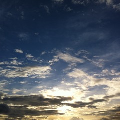 Love You My Bala_Tommy_Billy