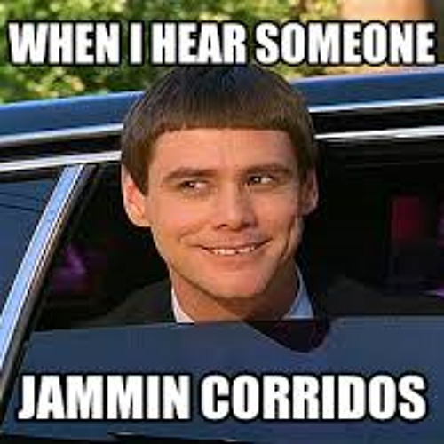 DjChrisMIX-CORRIDOS MIX