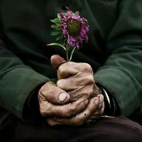 || إنَّ هَمي فَوْقَ هَمْي •~