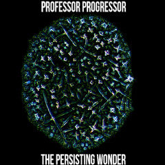 The Persisting Wonder (feat. Vayou)