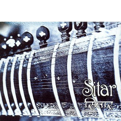 Raag Charukeshi Drut Teen Taal and Jhalla - Dr. Jawwad Noor (Sitar) and Pranav Ghatraju (Tabla)