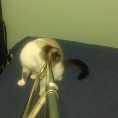 clubbism “disquiet0153-groovelock”