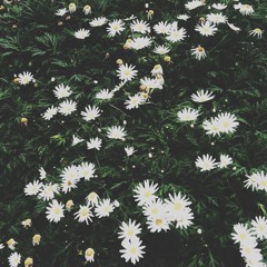 Little Bit - Lykke Li Cover