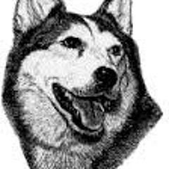 Husky Warmup Music