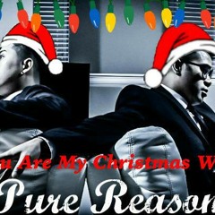 Pure Reason- You Are My Christmas Wish